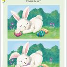 Text: „Im unteren Bild haben sich 5 Fehler eingeschlichen. Findest du sie?“ Illustration mit einem weißen Hasen und Ostereiern.