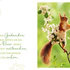 MÖGEN DEINE Gedanken ...
Ein Eichhörnchen auf blühendem Ast, umgeben von grüner Natur.