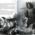 Text über Angst und Flucht in einer Waldszene. Illustrierte Wölfe und eine aufgerichtete Bärin mit Jungtier. Wälder im Hintergrund.