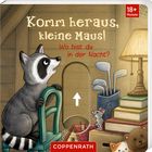 "Komm heraus, kleine Maus! Wo bist du in der Nacht?" Illustration mit Waschbär, Maus, Büchern und Lampe in einem Raum.