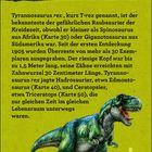Tyrannosaurus rex Text über Eigenschaften und Jagdverhalten. Illustration eines grünen T-Rex neben menschlicher Silhouette.