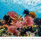 "1", darunter Kalendertage. Unterwasserlandschaft mit bunten Korallen und vielen kleinen Fischen in klarem Wasser.