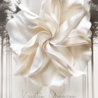 "Kristin Greyson, Externally Controlled, Dark Romance. Große weiße Blüte vor schemenhaftem Wald, Black Edition-Logo."