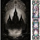 Text: "Bane of Iras", "Ein Fluch ohne Gnade", "A.C. Nyra". Dunkles Schloss, neblige Atmosphäre, gotisches Design, Totenschädel.