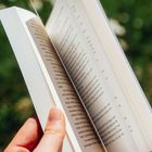 Eine Hand blättert Seiten in einem Buch mit gedrucktem Text um, Hintergrund unscharf grün.