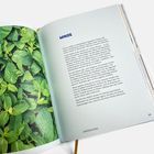 Rechts: Text über Minze. Überschrift "MINZE". Unten "ERFRISCHUNG". Links: Foto von frischen Minzblättern.