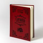 Roter Bucheinband mit dekorativen Elementen, Text: "Joseph Sheridan Le Fanu, Carmilla: Eine Vampirgeschichte", Anaconda.