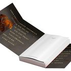 Ein Text auf dunklem Hintergrund: „Einen endlos langen Augenblick starren wir uns an. Er: ein Jäger. Ich: eine Draki...“