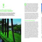 Musterlayout. Stippvisite in den Tropen: Logan Botanic Garden – fantastische Flora, im Südwesten Schottlands.