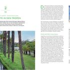 Stippvisite in den Tropen: Beschreibung des Logan Botanic Garden in Schottland mit Infos über Klima, Pflanzen und Geschichte. Links ein Palmenwald, rechts ein Leuchtturm.