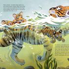 **Text:** Plitsch, platsch – der kleine Tiger spielt in einem Tümpel. Das Wasser ist nun größer. Er schwimmt und hat Spaß.

**Illustration:** Tigerjungen im Wasser. Sie schwimmen verspielt. Eine Schildkröte und kleine Fische sind auch zu sehen.