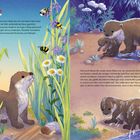 Ein junger Otter sitzt zwischen Grashalmen und Blumen. Auf der anderen Seite spielt ein Otter am Fluss mit einem Jungtier.