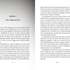 Text im Bild: Kapitel 1, "Ein Junge wie du", Saubere Energie für zukünftige Generationen!

Beschreibung: Zwei Buchseiten. Links beginnt ein Kapitel, rechts wird eine Geschichte erzählt.