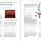 Titel: "DIE ENTSTEHUNG DES LEBENS". Untertitel: "Vom Einfachen zum Komplizierten". Chemisches Experiment mit Gasen und Elektroden.