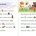 "Der bunte Himmel" beschreibt das Leben einer kleinen Biene in einer farbenfrohen Natur mit Baum, Blumen und Tieren.
