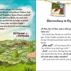 Links erzählt ein Text von einem Tal mit "Reiterhof Ponyglück". Rechts eine Szene: Sina filmt den Regen aus einem Auto.