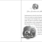 „Das Leuchten der Mähne“ steht oben. Ein Text erzählt von Elli, die ein Spielzeugpferd bemalt. Daneben ein Pferdebild.
