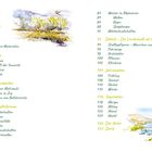 Inhalt: Vorwort, Material, Techniken, Motive, Landschaftsformen, Wasser, Details, Jahreszeiten, Tageszeiten, Der Autor, Dank. Illustrationen von Büschen und Küste.