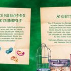 Einladende Texte in grüner Schrift: "HERZLICH WILLKOMMEN IN DER ZAUBERWELT!" und "SO GEHT'S:". Illustrationen eines Froschs, Zaubertranks, Bohnen, einer Eule und eines Vogelkäfigs.