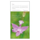 Kalender für März mit Text: "Menschenleben, wunderbar! In jedem Winkel steht ein freundlicher Engel. Peter Rosegger". Rosa Blüte.