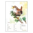 Text: "Zaunkönig, Dezember." Illustration eines singenden Vogels auf einem Zweig mit grünen Blättern.