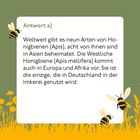 Antwort a) Es gibt neun Honigbienenarten, acht in Asien. Westliche Honigbiene (Apis mellifera) auch in Europa und Afrika. Genutzt in Deutschland. Kleine Illustration mit fliegenden Bienen und Blumen darunter.