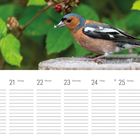 Kalenderwoche vom 20. bis 26. April. Ein Buntspecht auf einem Ast, umgeben von grünen Blättern.