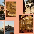 Szene mit historischen Kuppeln, Innenansichten einer Moschee, eine gefleckte Katze, Minarette und ein Ufer mit Booten.