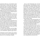 Seitenzahlen: 24 und 25. 

Text beschreibt Timms Wettsucht und Spannungen mit der Stiefmutter. Timm wirkt verschlossen, erlebt jedoch Momente der Freude.