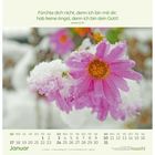 Kalendertext mit Bibelzitat: "Fürchte dich nicht, denn ich bin mit dir; hab keine Angst, denn ich bin dein Gott! Jesaja 41,10." Januar. Vordergrund: Pinke Blumen mit Schnee.