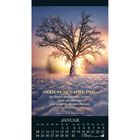 "Segen sei mit dir, der Segen strahlenden Lichtes. Licht um dich her und innen in deinem Herzen. Irischer Segenswunsch."

Ein Baum im Schnee. Januarkalender darunter.