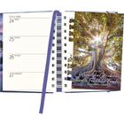 Text: „Aus der Wurzel des Glaubens wächst die Frucht der Freude.“ Zitat von Charles Haddon Spurgeon. 

Beschreibung: Ein geöffneter Kalender mit einem Foto von einem großen Baum.