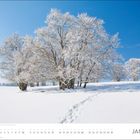 Schrift "JANUAR", darunter ein Kalender. Verschneite Landschaft mit vereisten Bäumen unter klarem, blauem Himmel.