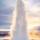 JANUAR. Ein Geysir schießt Wasser in die Luft. Drunter ein Kalender mit Tagen des Monats.