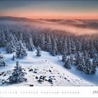 Kalenderblatt für Januar, schneebedeckter Wald bei Sonnenuntergang, Bäume und Horizont in Nebel gehüllt.