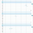 Name, Januar, Der stolze Kater, Der mutige Tiger. Kalender mit illustrativen Katzen am unteren Rand.