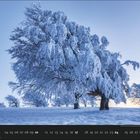 01, 02, 03 und so weiter bis 31. Schnee bedeckt eindrucksvolle große Bäume in einer winterlichen Landschaft.