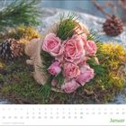 Kalender für Januar mit rosa Rosen auf Moos, Kiefernadeln, und einem Tannenzapfen. Enthält Datumsangaben für den Monat.