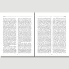 Vorsatz: Detaillierter Text in zwei Spalten, nummeriert mit VI links und VII rechts. Text behandelt sprachliche und historische Themen.