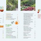 INHALT: Hochbeete, Pflanzen, Planen, Gemüse, Kräuter, Gestalten. Bunte Illustrationen von Pflanzen und Gartenwerkzeugen.