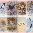 Januar: Gimpel, Februar: Elster, März: Amsel, April: Rotkehlchen, Mai: Bachstelze, Juni: Pirol, Juli: Rauchschwalbe, August: Bekassine, September: Wiedehopf, Oktober: Weißwangengans, November: Gerfalke, Dezember: Buntspecht. Illustrationen der Vögel in natürlicher Umgebung.