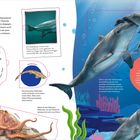 "Babys im Meer", "WOW!", "Seepferdchen-Papa", "Katzenhai", "Oktopus", "Hallo, mein Name ist Klick-Klick-Kli-Kli-Klick". Illustrationen von Meeresbewohnern.