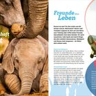 Gemeinschaft tut gut. Freunde fürs Leben. Text beschreibt Elefanten und soziale Bedürfnisse. Tatjanas Tipp rät zu guter Gemeinschaft.