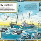 "RAINBOW WARRIOR" steht oben zentral. Illustration zeigt ein Greenpeace-Schiff im Meer, umgeben von Möwen und Walen.