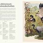 Lebensraum: Graslandschaften. Illustration von Vögeln in einer Graslandschaft mit Pflanzen. Nr. 1 bis 8 beschrieben.