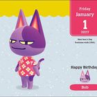 "Friday January 1 2027, Happy Birthday! Bob." Lila Katze in Hawaii-Hemd vor einem gelben und blauen Hintergrund.