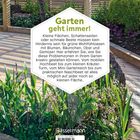 "Garten geht immer!" Text beschreibt Gestaltung kleiner Gärten. Im Hintergrund eine gepflegte Gartenanlage mit Holzplanken.