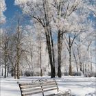 Januar 2021, Kalenderdarstellung; verschneite Parkbank vor frostbedecktem Baum, klarer blauer Himmel.