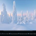 Kalenderseite mit Januar-Daten am unteren Rand. Schneebedeckte Bäume formen skurrile, verschneite Figuren unter blauem Himmel.