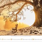 2022, Januar, Kalender. Schneebedeckte Bank unter Baum vor winterlicher Landschaft im warmen, orangefarbenen Licht.